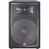 15-Inch Speaker